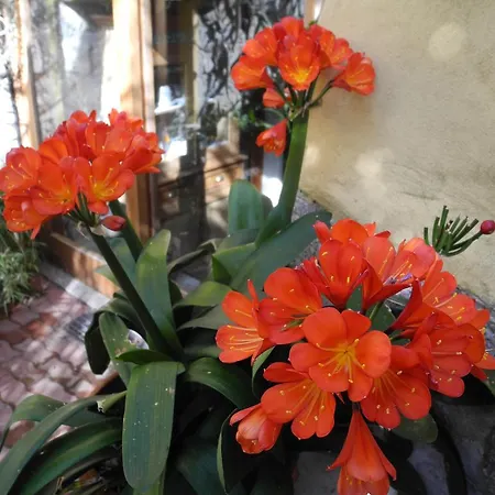 La Chicca Di Francesca