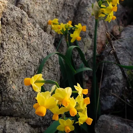 Bed & Breakfast La Chicca Di Francesca