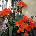La Chicca Di Francesca