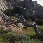 La Chicca Di Francesca 3*