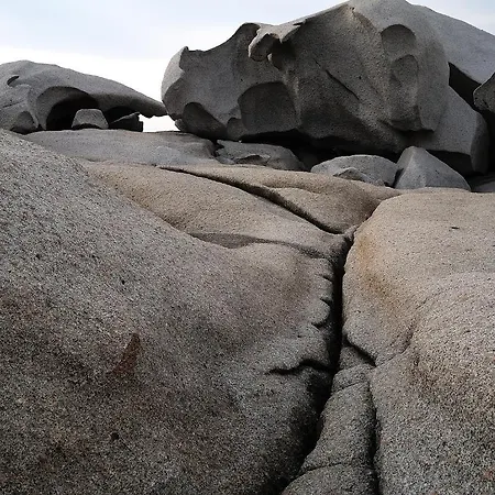La Chicca Di Francesca