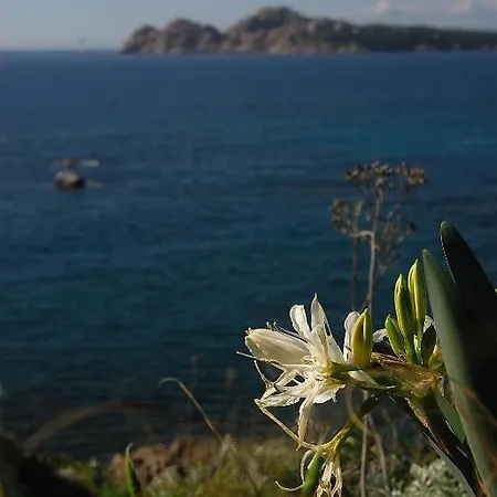 La Chicca Di Francesca Bed & Breakfast Santa Teresa Gallura