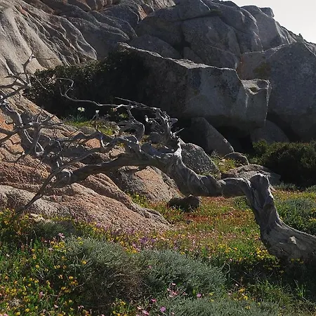 La Chicca Di Francesca 3*